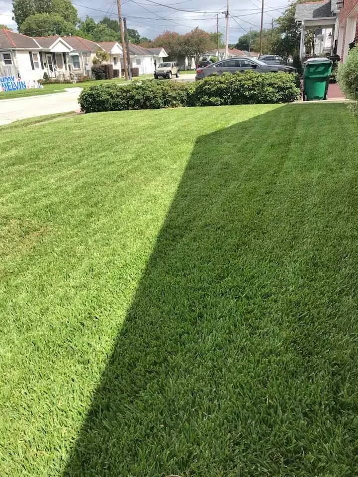 Professional outdoor landscaping near you across Metairie, LA - Priority Lawncare