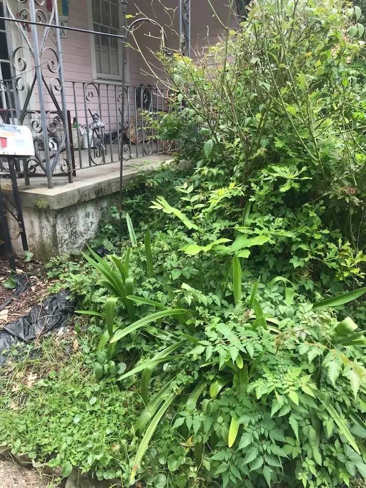 Expert outdoor landscaping in Metairie, LA - Priority Lawncare