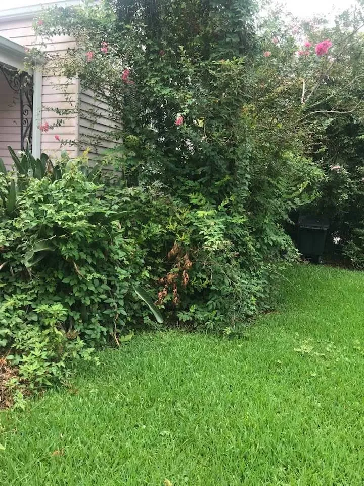 Professional lawn mowing service in Metairie, LA - Priority Lawncare