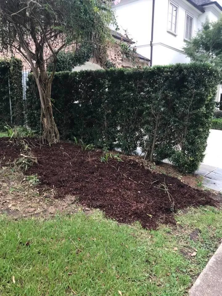 Affordable landscape installation in Metairie, LA by Priority Lawncare
