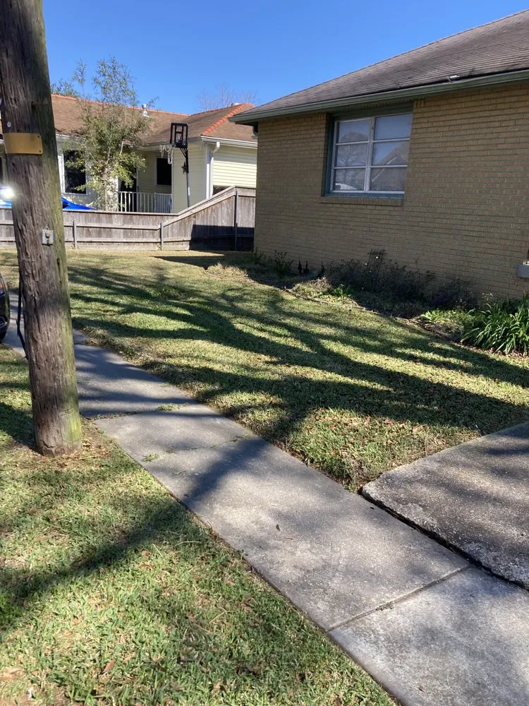 Reliable yard cleanup service in Metairie, LA by Priority Lawncare