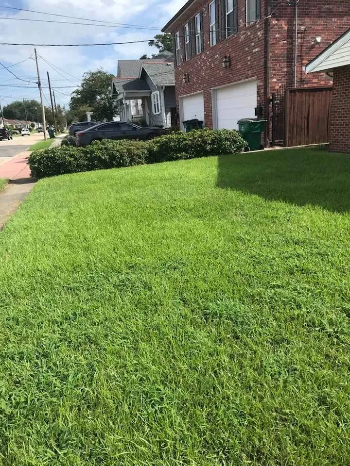 Trusted landscaping services experts serving Metairie, LA - Priority Lawncare