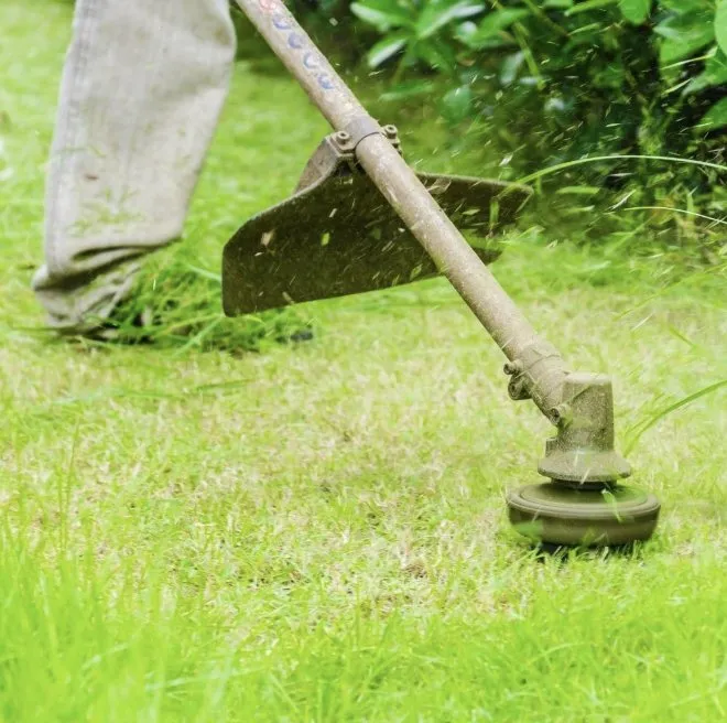 Custom lawn care service in Sparrow Bush, NY - Priority One - Code Green
