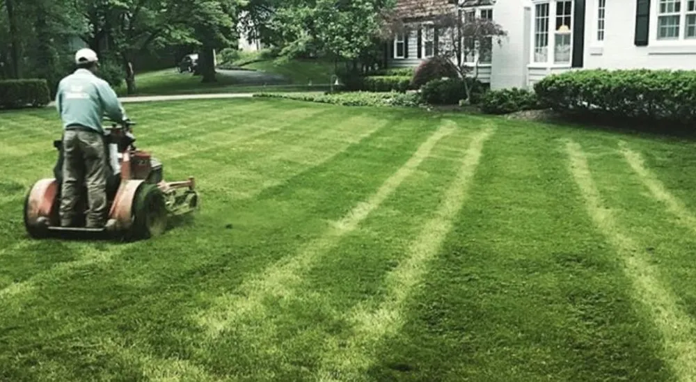 Local residential landscaping experts serving Sparrow Bush, NY - Priority One - Code Green
