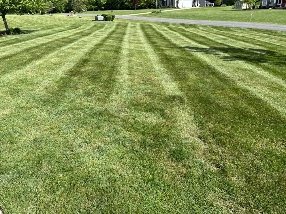 Local lawn mowing service in Medina, OH by Priority One Lawn Care