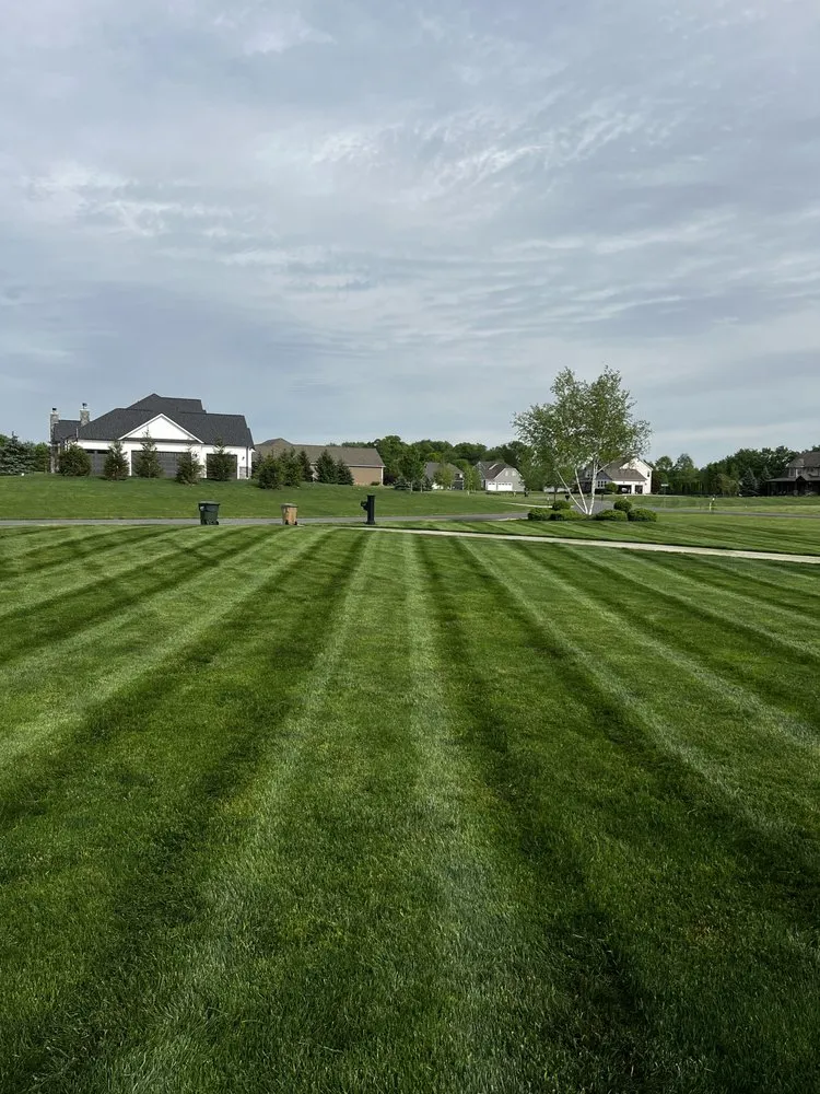 Local yard cleanup service in Medina, OH by Priority One Lawn Care