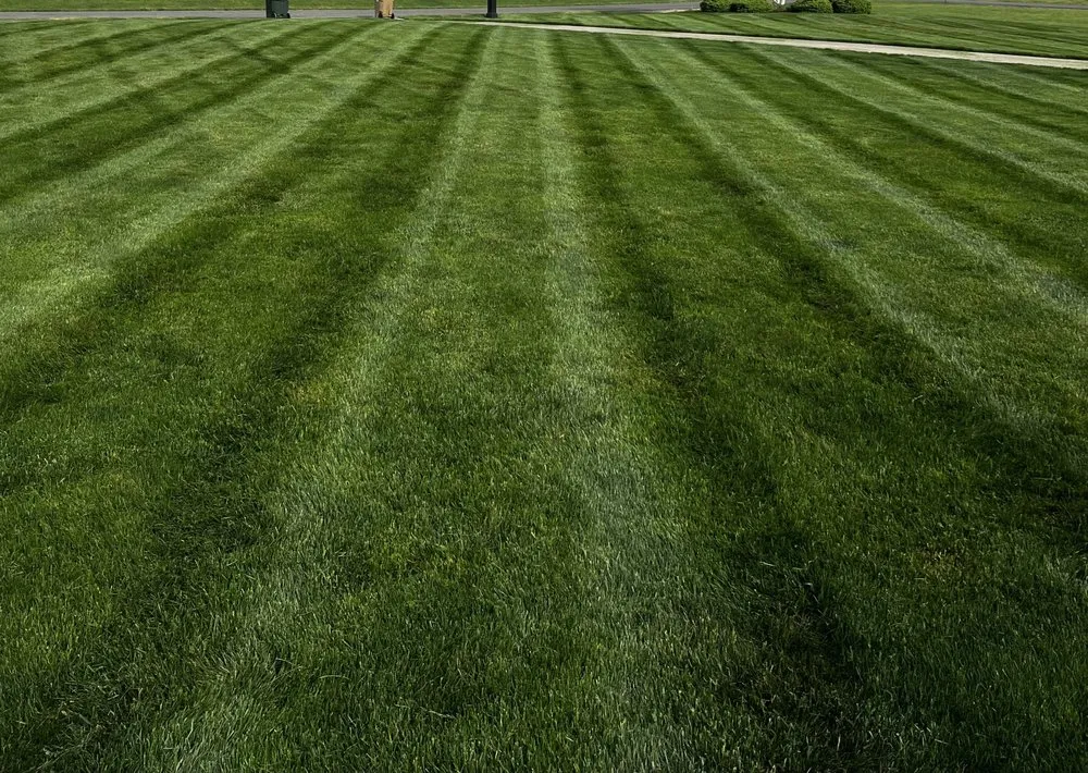 Reliable garden landscaping for residential properties in Medina, OH by Priority One Lawn Care