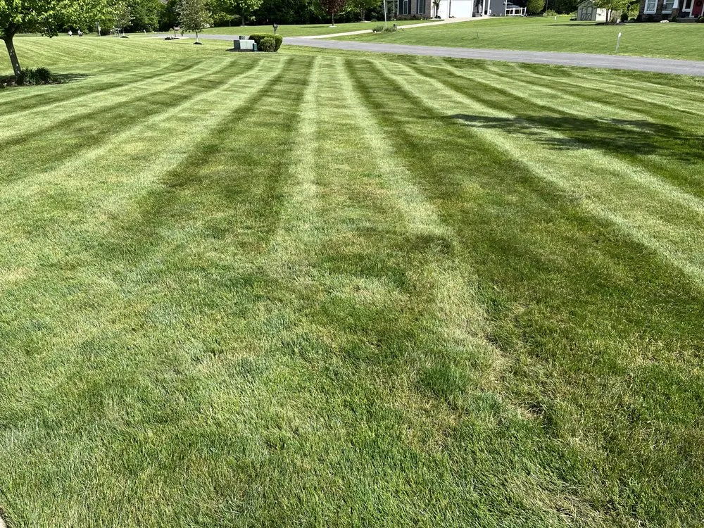 Reliable garden landscaping experts serving Medina, OH - Priority One Lawn Care