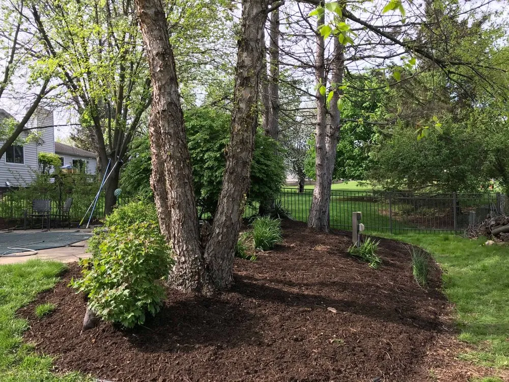 Trusted yard cleanup service for beautiful yards across Novi, MI - Priority One Lawn Care