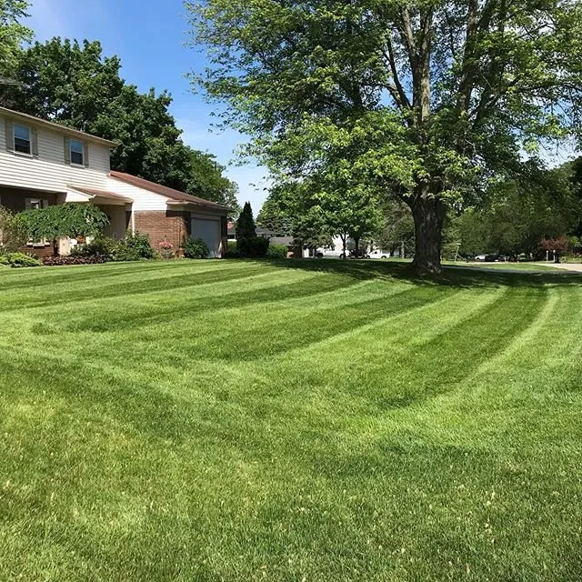 Professional outdoor landscaping in Novi, MI - Priority One Lawn Care