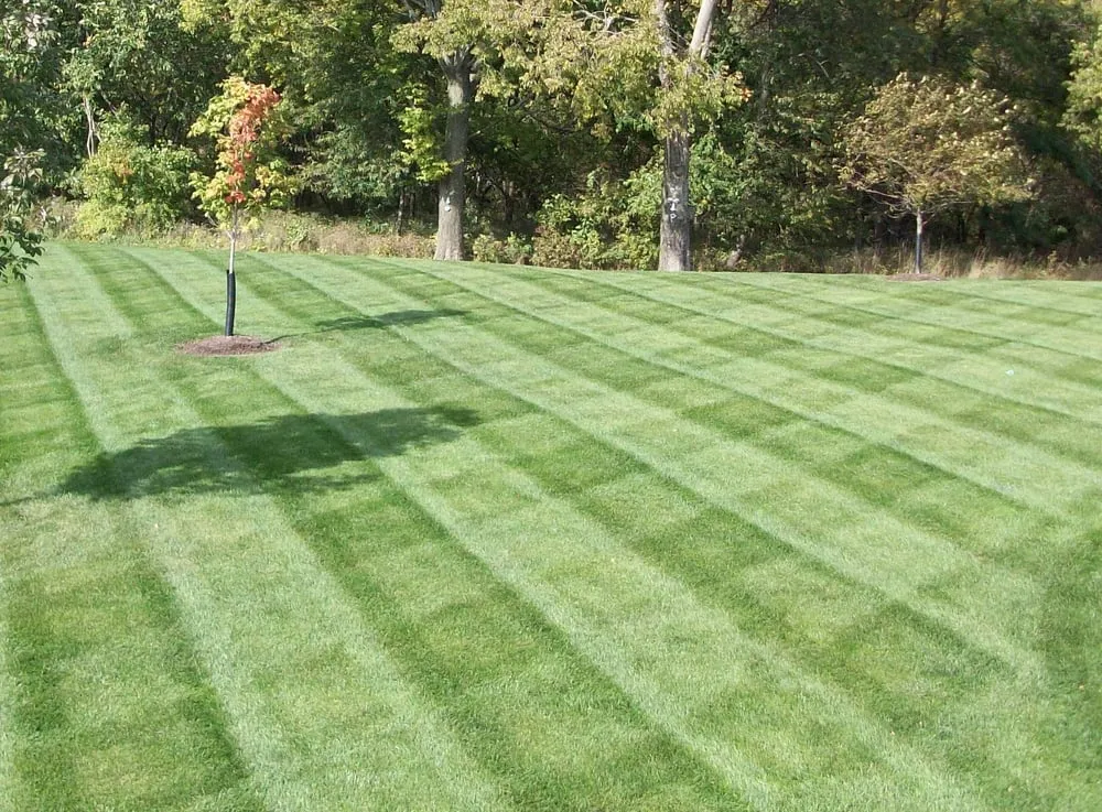 Local lawn care service in Abingdon, MD - Priority One Lawncare