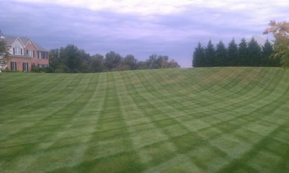 Affordable lawn care service in Abingdon, MD by Priority One Lawncare