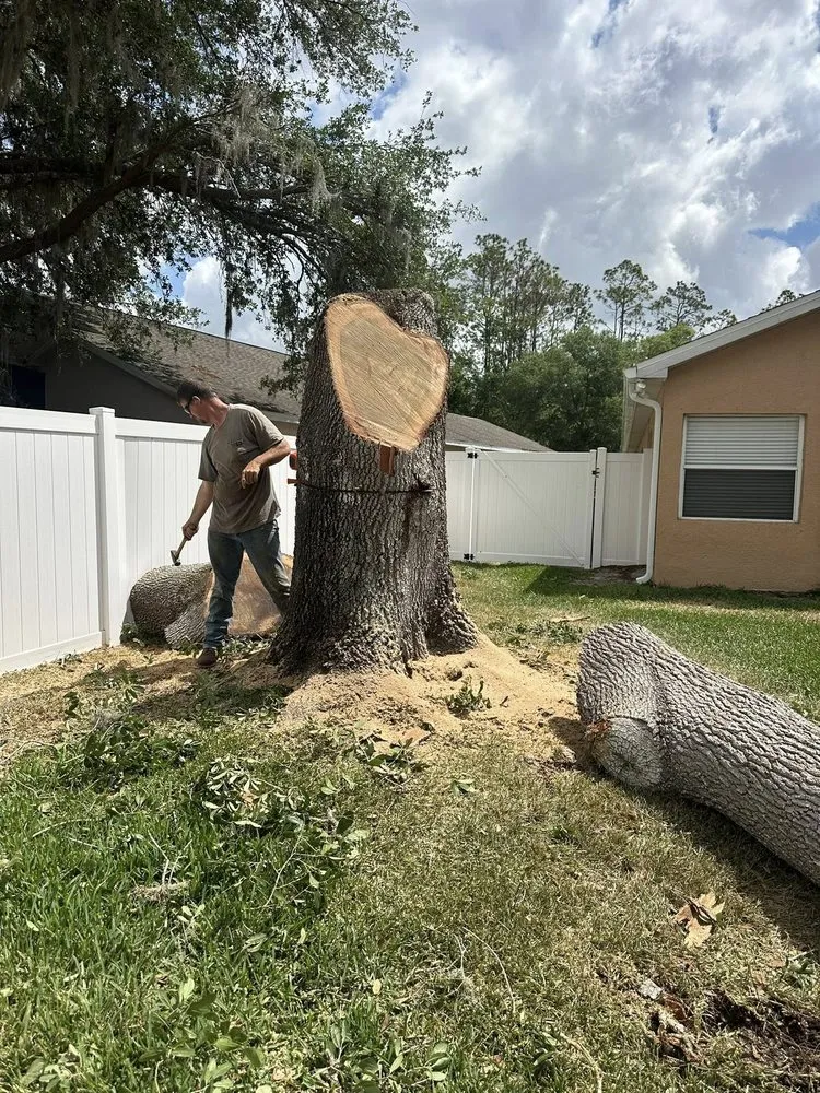 Expert garden landscaping for year-round maintenance across Webster, FL - Priority Property Services FL