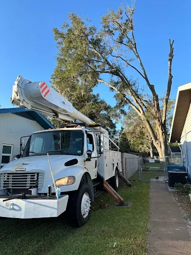 Custom landscape installation in Webster, FL by Priority Property Services FL