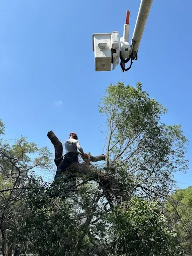 Reliable garden landscaping in Webster, FL by Priority Property Services FL