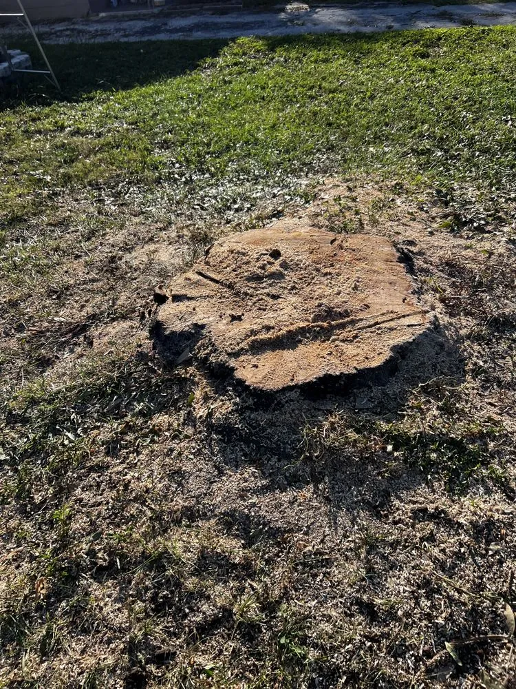 Top-rated garden landscaping experts serving Webster, FL - Priority Property Services FL