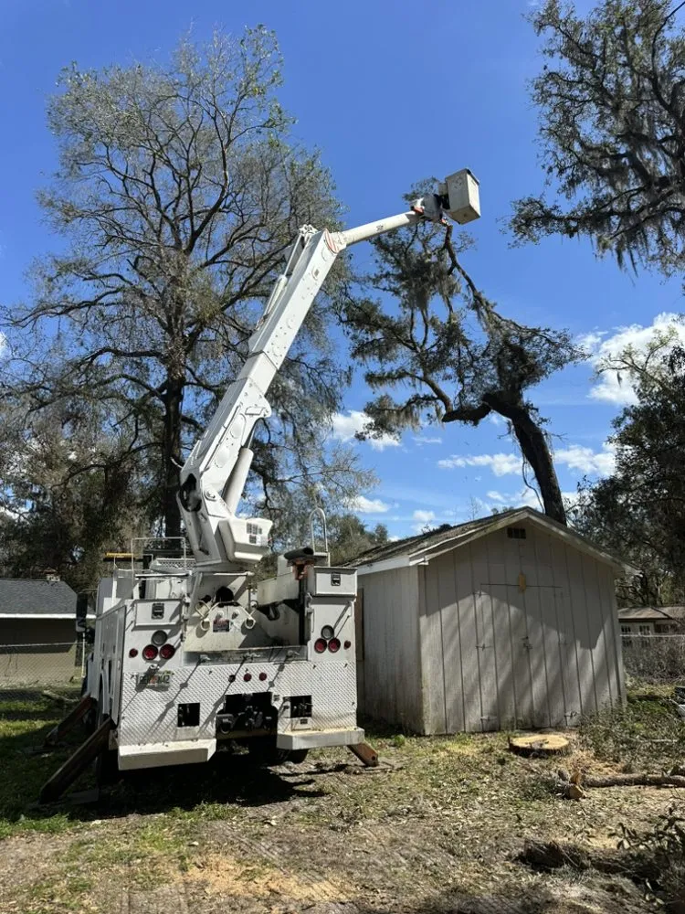 Expert landscaping services for outdoor upgrades in Webster, FL by Priority Property Services FL