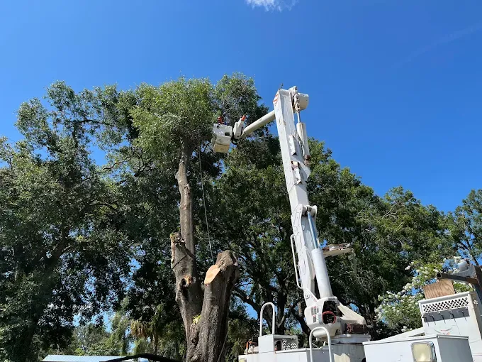 Top-rated landscaping services for homes across Webster, FL - Priority Property Services FL