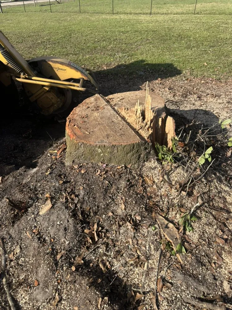 Top-rated garden landscaping experts serving Webster, FL - Priority Property Services FL