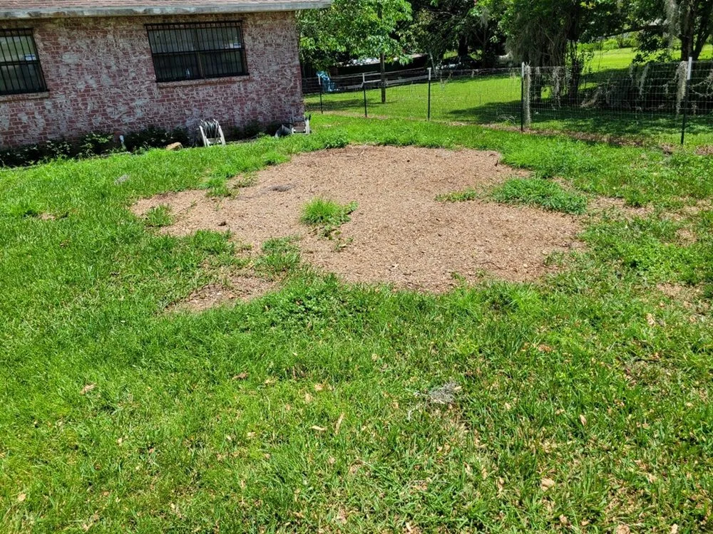 Local residential landscaping in Webster, FL by Priority Property Services FL