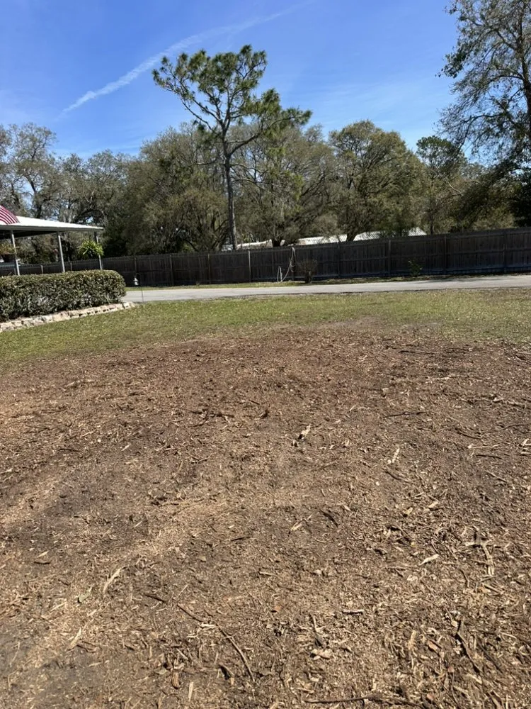 Top-rated lawn mowing service for residential properties across Webster, FL - Priority Property Services FL