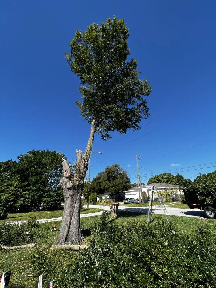 Reliable landscape design experts serving Webster, FL - Priority Property Services FL