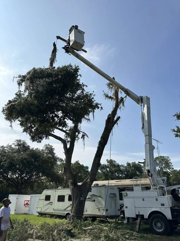 Expert outdoor landscaping for beautiful yards in Webster, FL by Priority Property Services FL