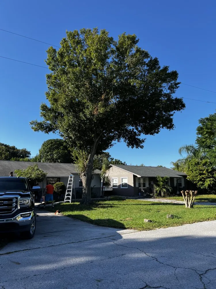 Reliable yard maintenance in Webster, FL by Priority Property Services FL