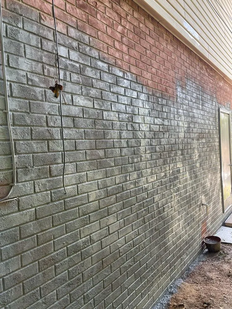 Expert yard cleanup service for outdoor upgrades in Birchwood, TN by Priority Styles