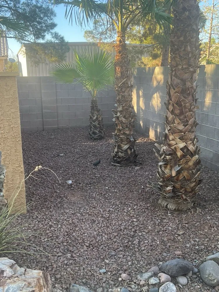 Trusted lawn mowing service experts serving North Las Vegas, NV - Prisma Lawn Service