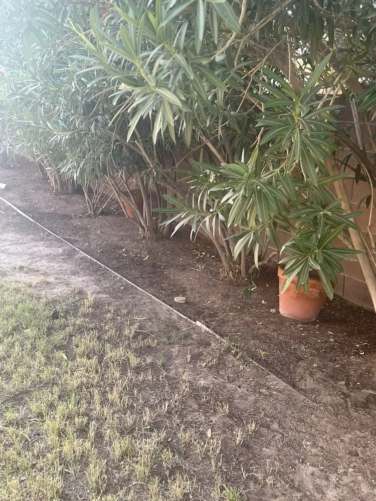 Trusted lawn mowing service in North Las Vegas, NV by Prisma Lawn Service