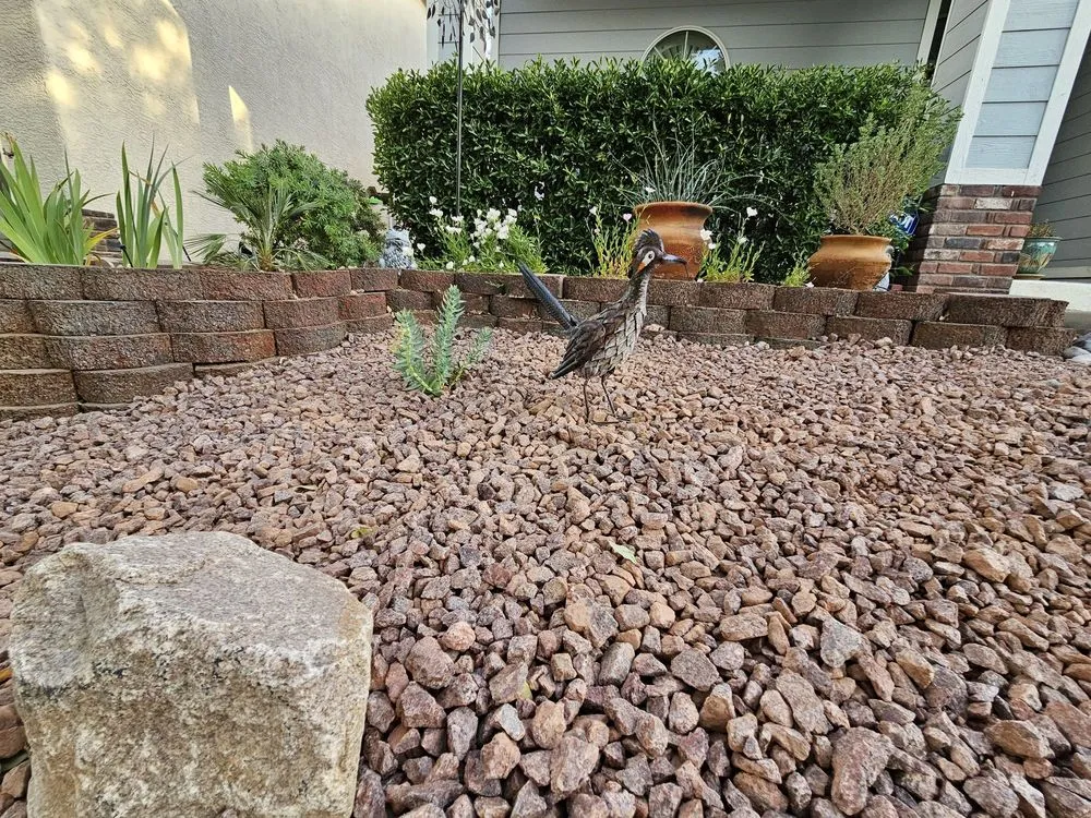 Professional lawn mowing service in North Las Vegas, NV by Prisma Lawn Service