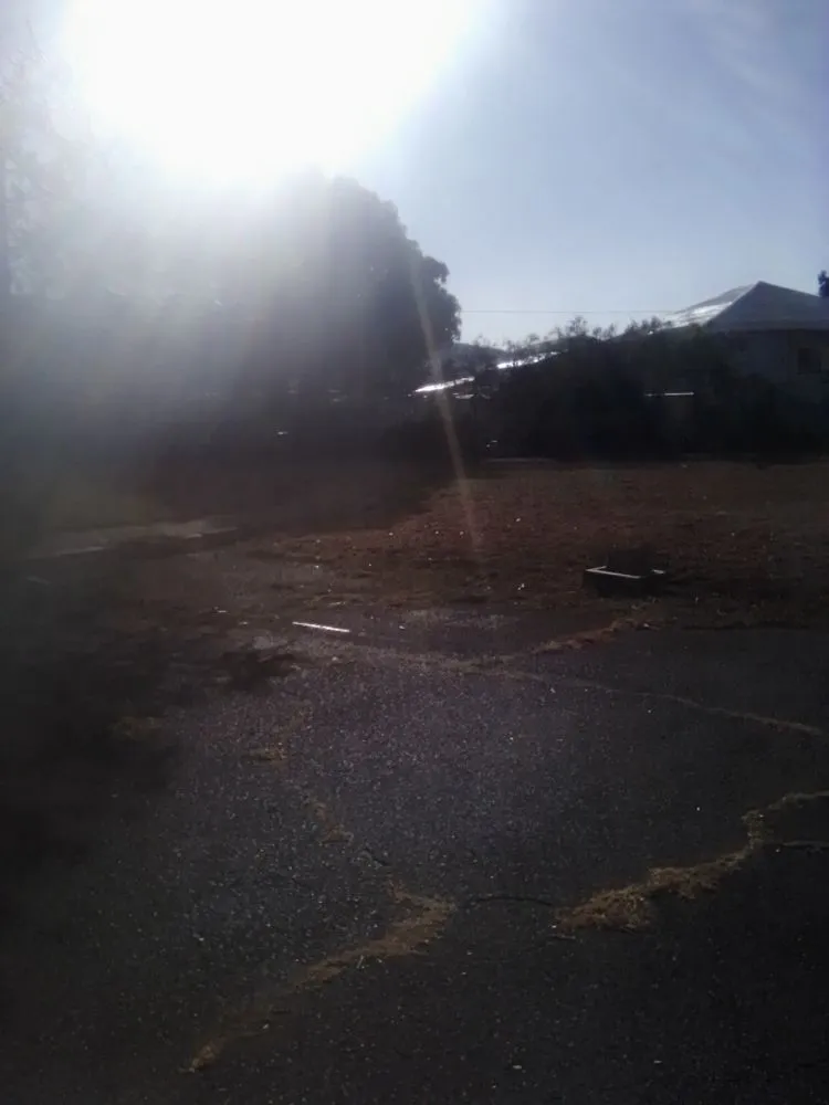 Professional yard maintenance for residential properties across Nānākuli, HI - Prisoion Landscaping Maintenance Tree Service