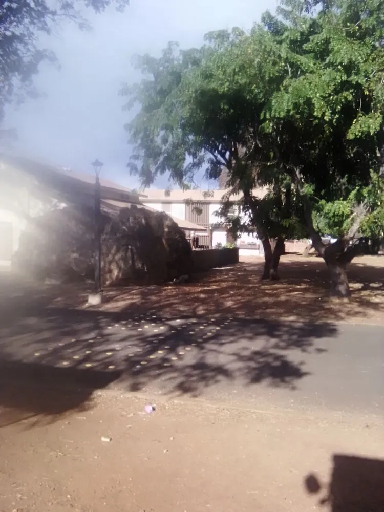 Affordable lawn care service in Nānākuli, HI by Prisoion Landscaping Maintenance Tree Service