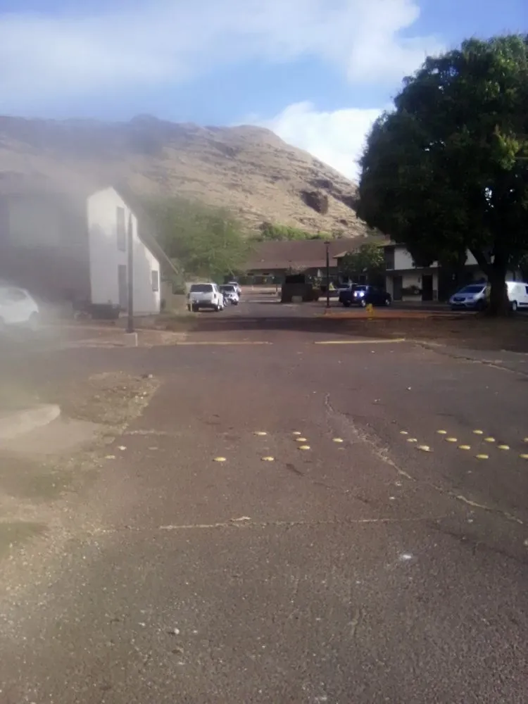 Custom yard cleanup service in Nānākuli, HI - Prisoion Landscaping Maintenance Tree Service