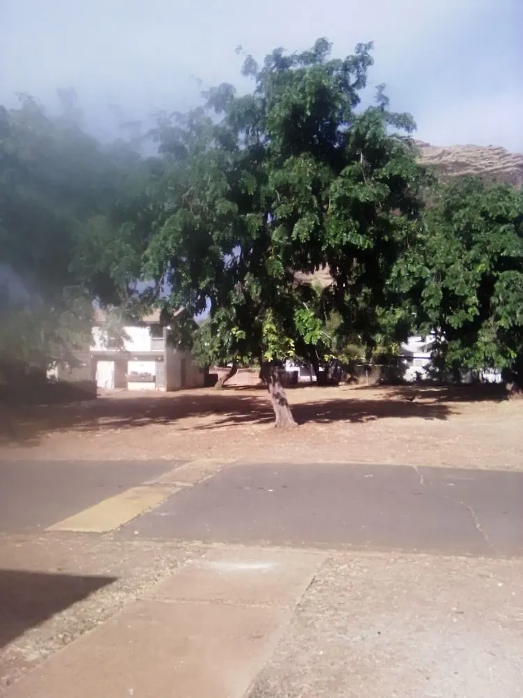 Affordable lawn care service near you in Nānākuli, HI by Prisoion Landscaping Maintenance Tree Service