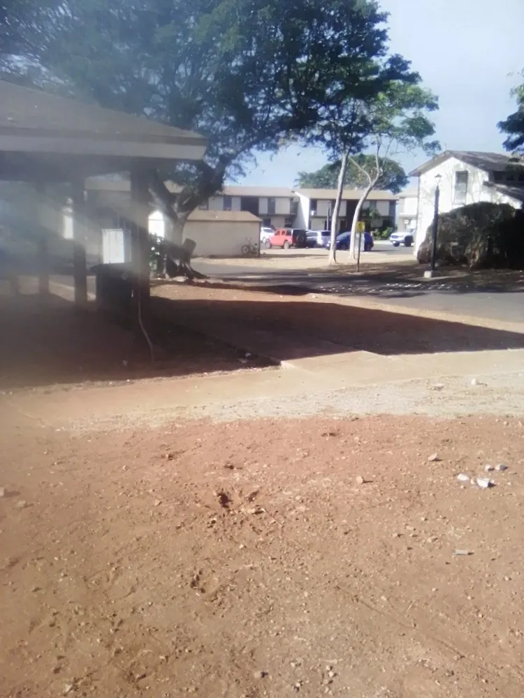 Expert yard cleanup service in Nānākuli, HI - Prisoion Landscaping Maintenance Tree Service