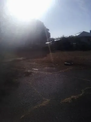 Prisoion Landscaping Maintenance Tree Service