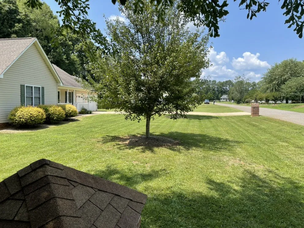 Expert yard cleanup service in Gastonia, NC by Pristine A1 Lawncare