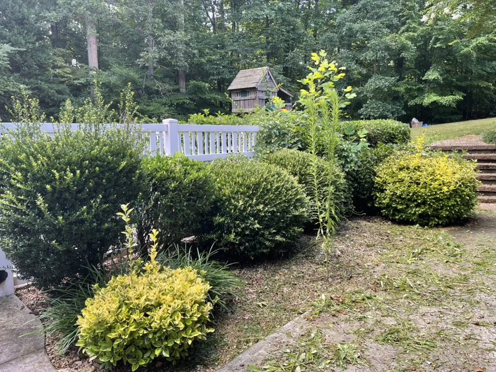 Trusted yard maintenance for beautiful yards across Gastonia, NC - Pristine A1 Lawncare