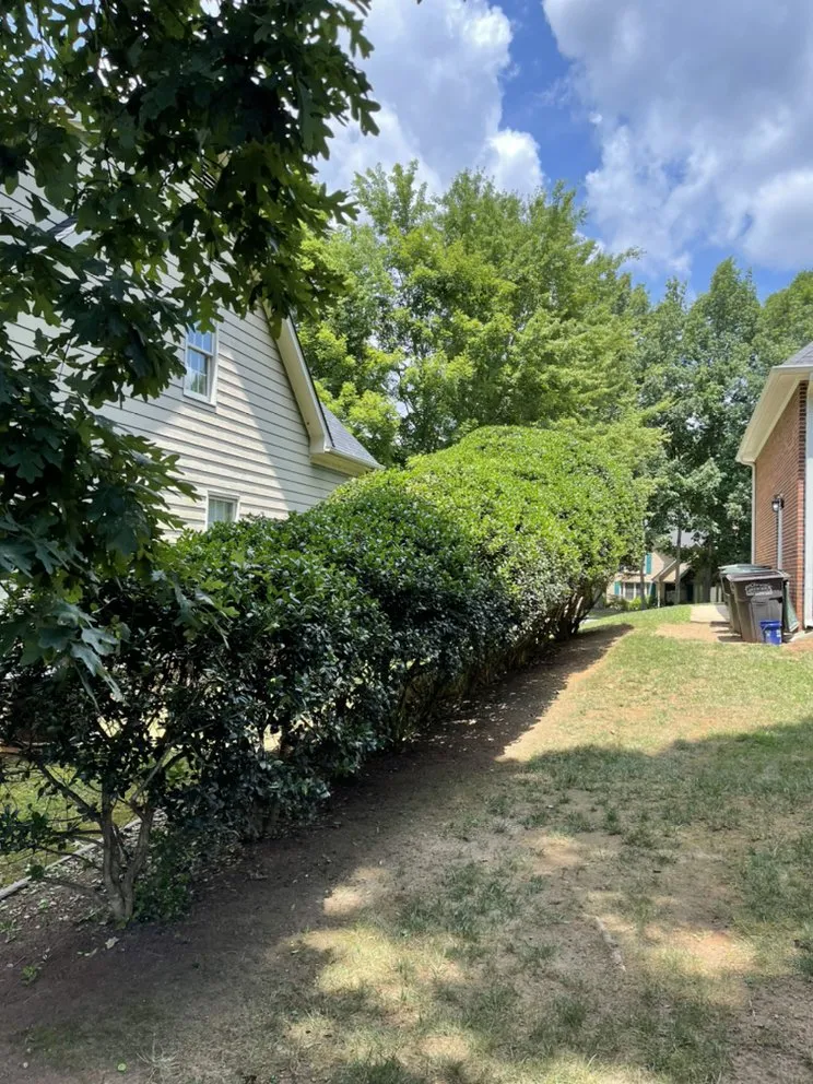 Custom outdoor landscaping in Gastonia, NC - Pristine A1 Lawncare