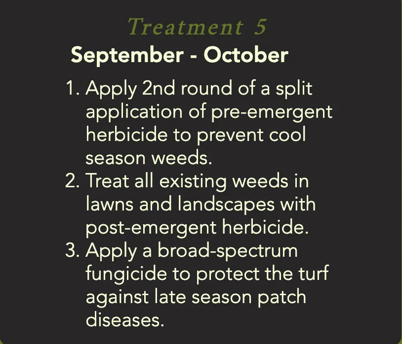 Expert yard maintenance for homes in Helotes, TX by Pristine and Green Yards