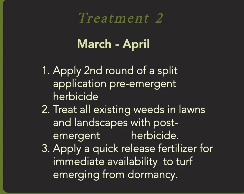 Affordable landscape installation for year-round maintenance across Helotes, TX - Pristine and Green Yards