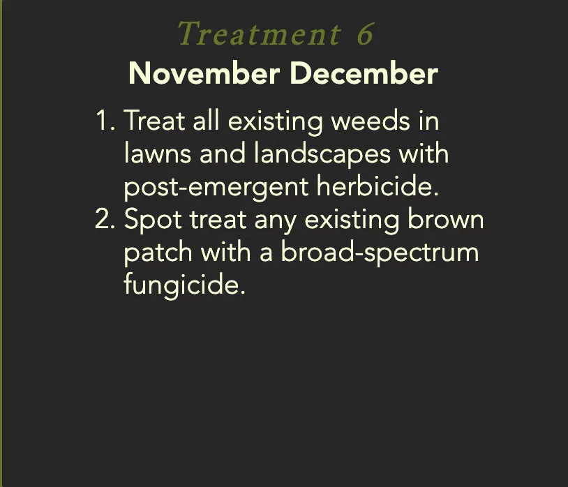 Local lawn care service experts serving Helotes, TX - Pristine and Green Yards