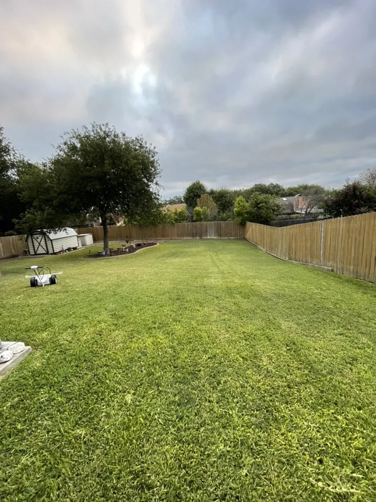 Professional lawn mowing service experts serving Helotes, TX - Pristine and Green Yards