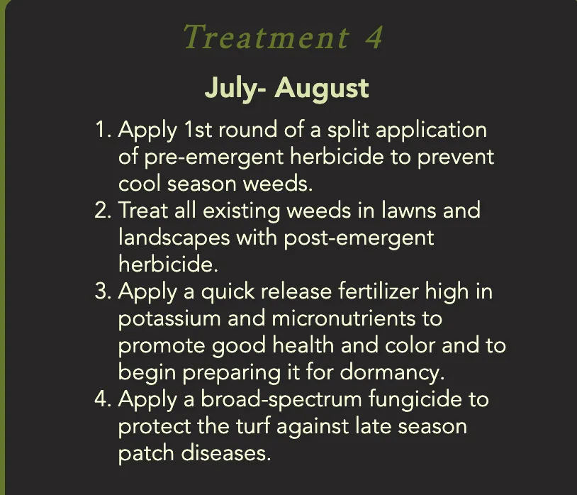 Local outdoor landscaping for year-round maintenance across Helotes, TX - Pristine and Green Yards