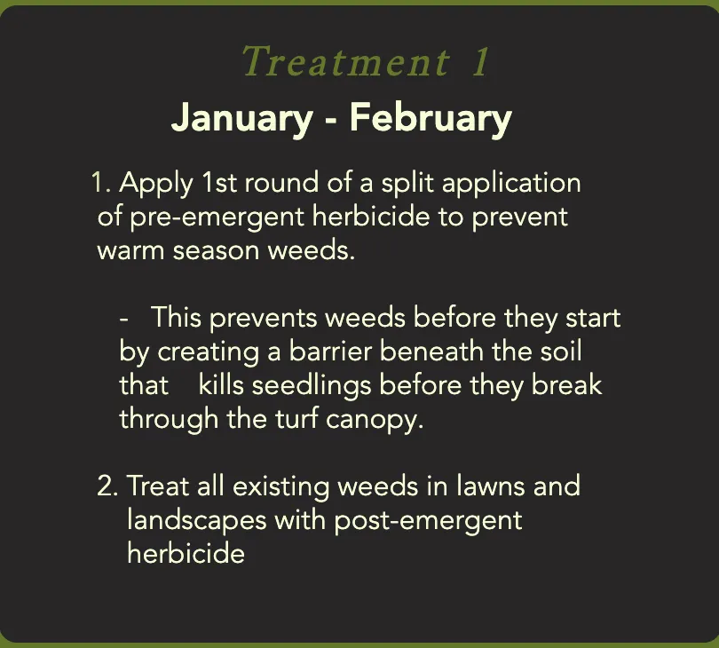 Affordable residential landscaping with custom design in Helotes, TX by Pristine and Green Yards