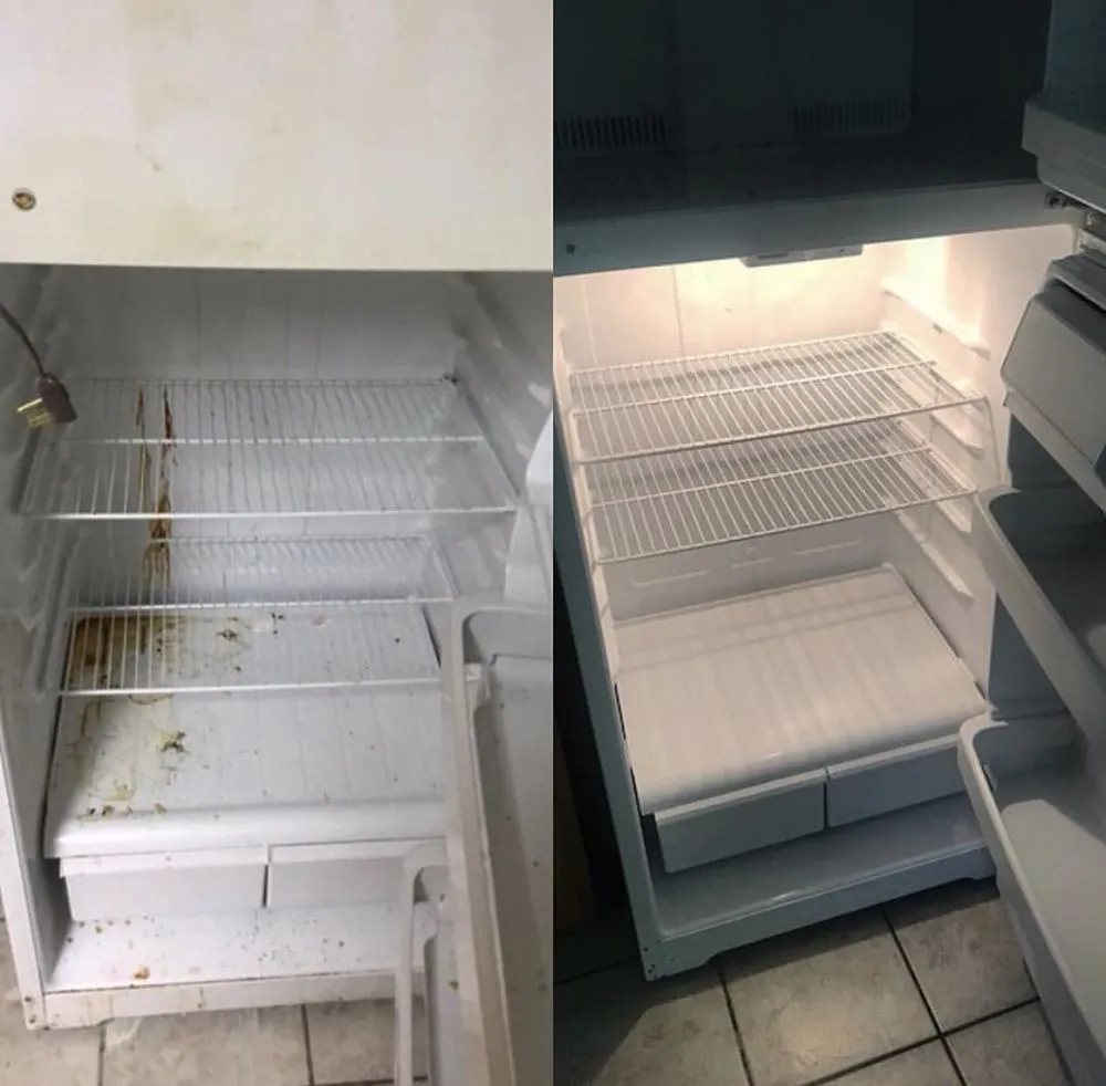 Expert lawn care service experts serving Killeen, TX - Pristine Building Maintenance