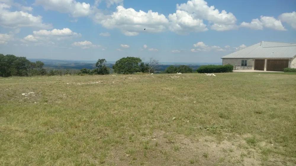 Expert yard cleanup service for residential properties in Bertram, TX by Pristine Clearing