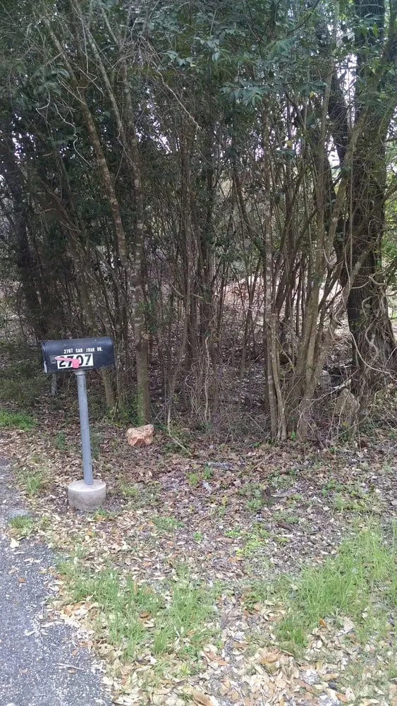 Affordable garden landscaping in Bertram, TX - Pristine Clearing